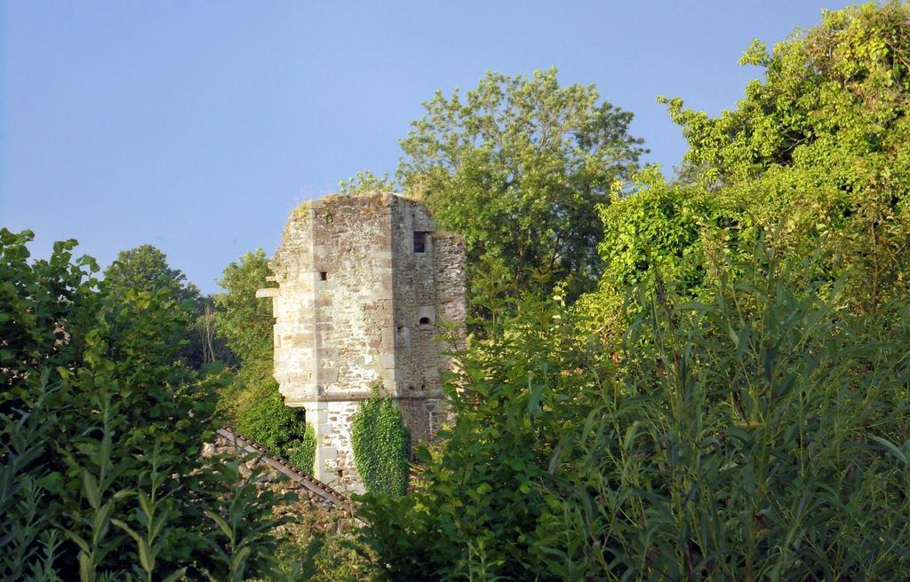 Chateau De La Chasse-Guerre Bed and Breakfast Hardanges Exteriör bild