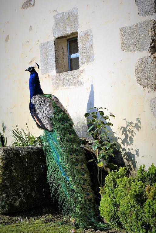 Chateau De La Chasse-Guerre Bed and Breakfast Hardanges Exteriör bild
