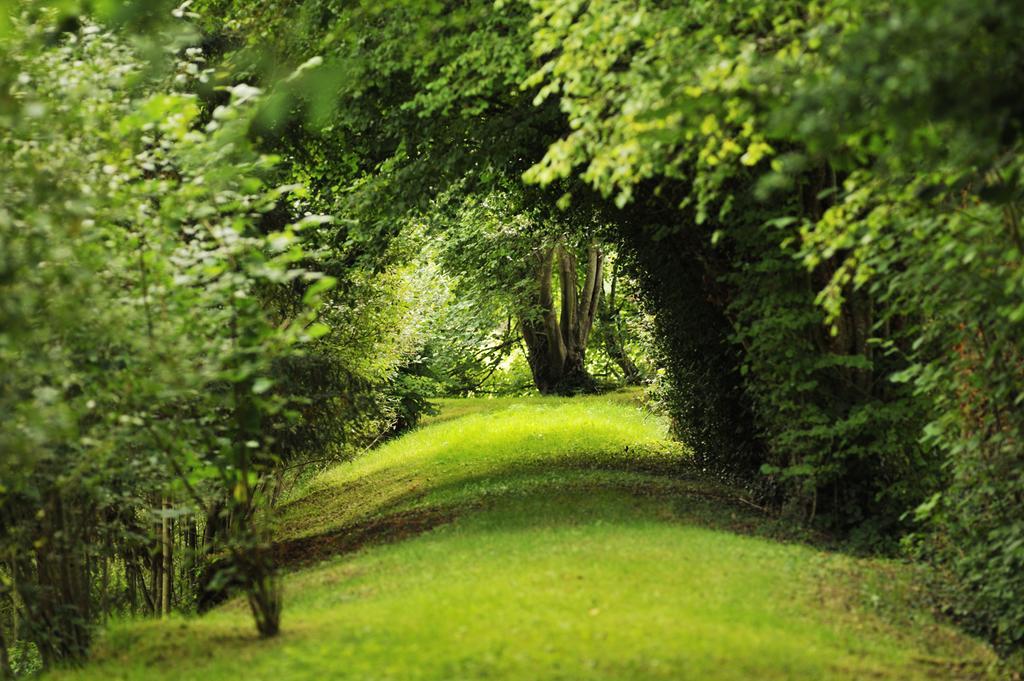 Chateau De La Chasse-Guerre Bed and Breakfast Hardanges Exteriör bild